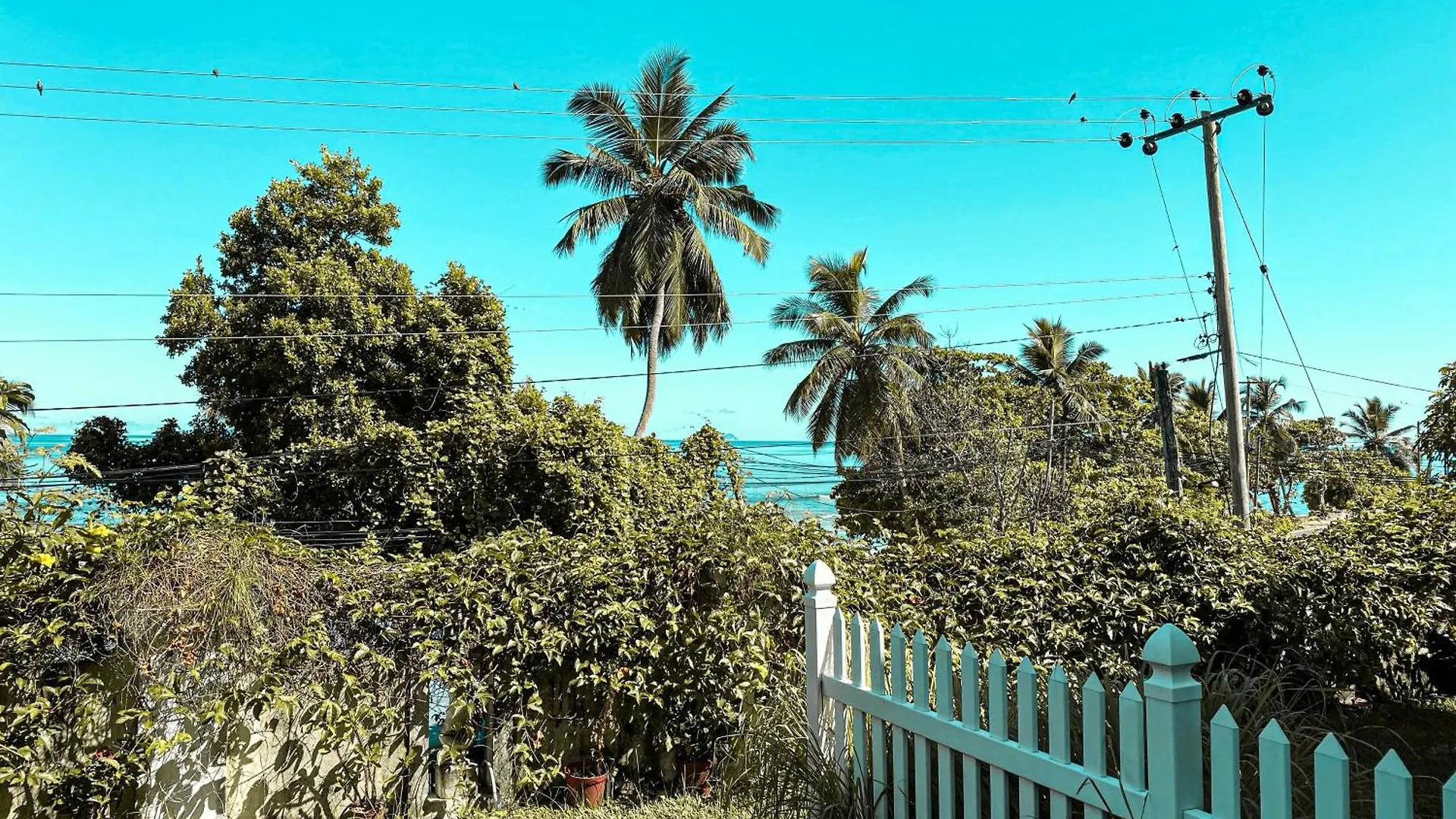 Apartament Anse Norwa Self Catering Beau Vallon   Beau Vallon (Mahe)